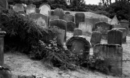 Fear of Graveyards