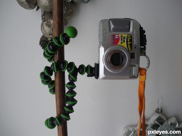 gorilla pod