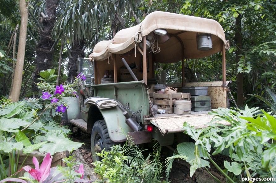 Jungle Jeep