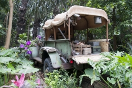 Jungle Jeep