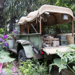 JungleJeep