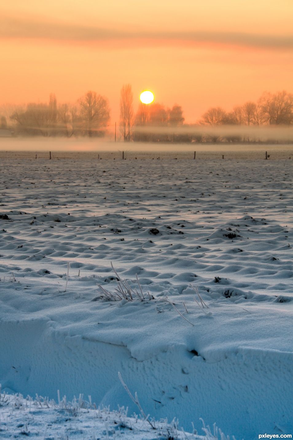 Foggy Sunrise