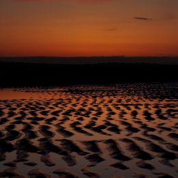 Ripplesinthesand