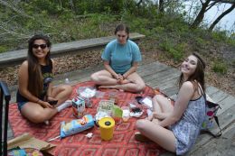 Picnic!