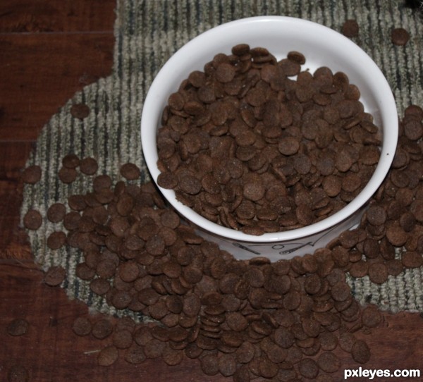 Brown Dog Food Leaving Bowl