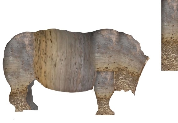 Creation of Rhino: Step 4