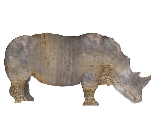 Creation of Rhino: Step 5
