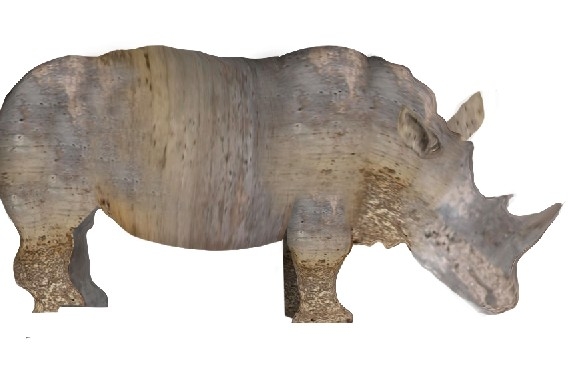 Creation of Rhino: Step 6