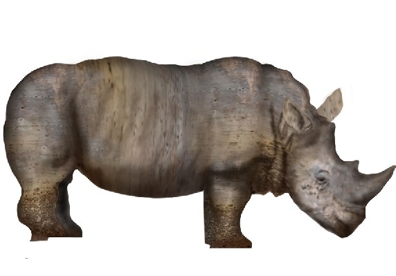 Creation of Rhino: Step 7