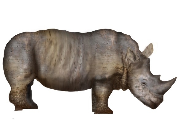 Creation of Rhino: Step 8