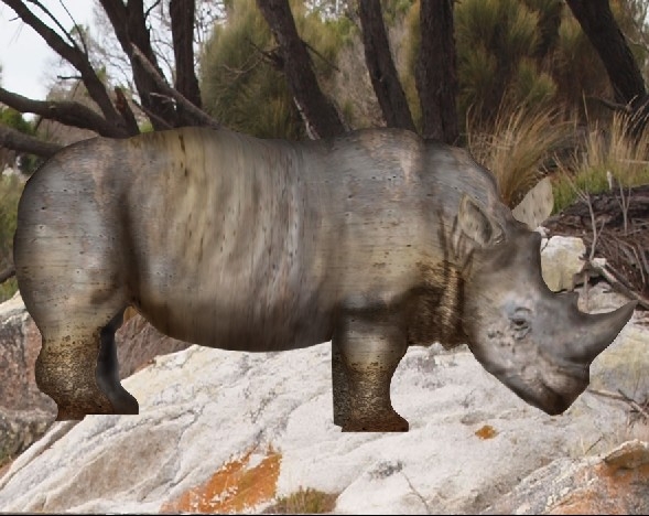 Creation of Rhino: Step 9