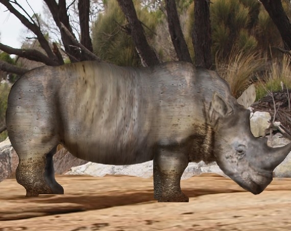 Creation of Rhino: Step 10