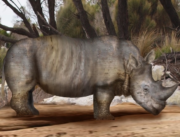 Creation of Rhino: Step 11