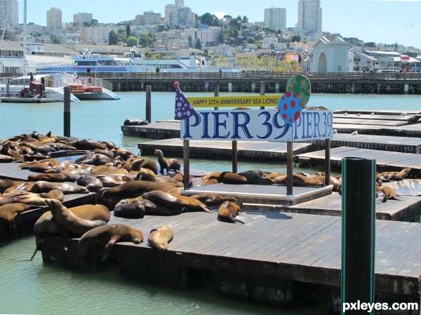 A famous pier