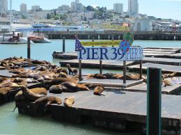 A famous pier