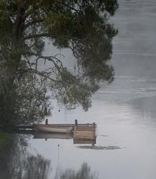 Foggy morning