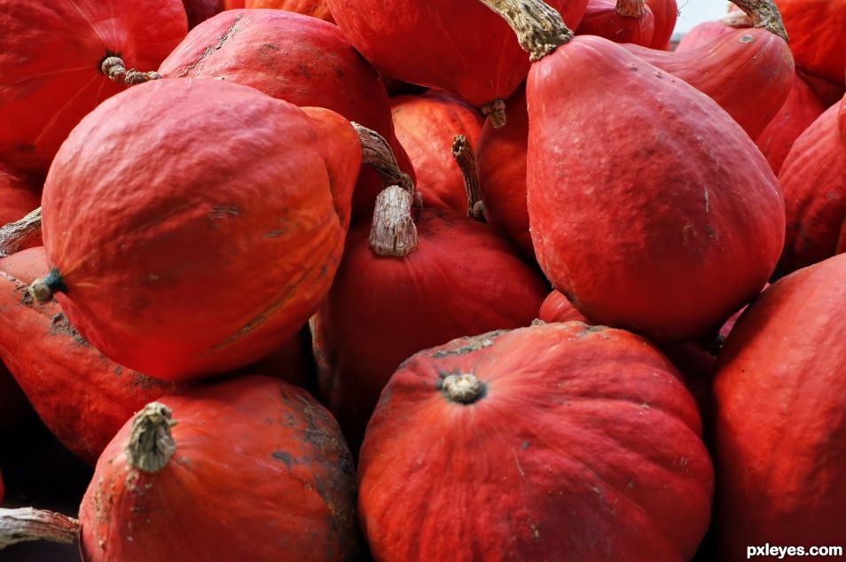 Pile of Gourds