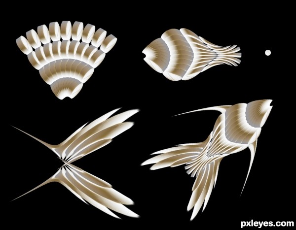 Creation of Fancy Fish: Step 2