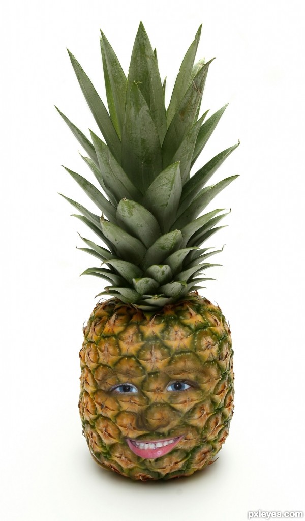 Creation of Pineapple Son: Final Result