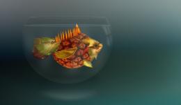 Exotic Pineapple Fish Picture
