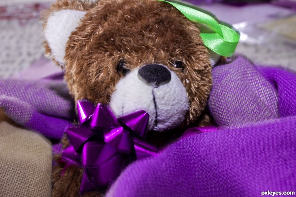 Teddy Bear Wrapped in Purple Scarf