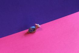 A little snail
