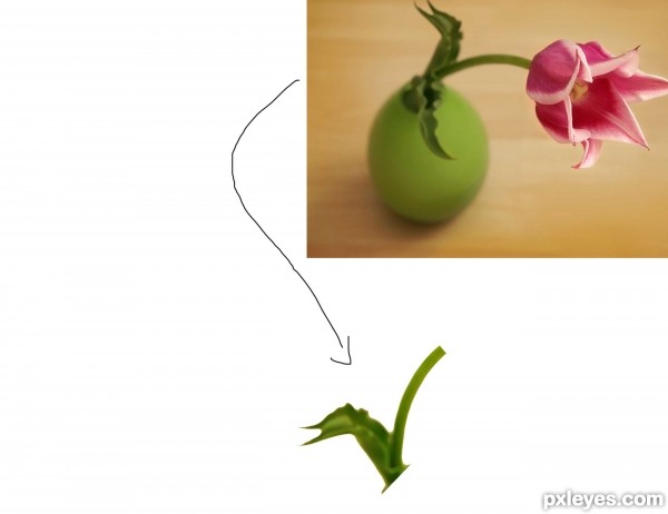 Creation of Ballerina Fantasy: Step 4