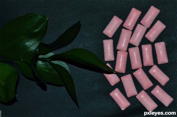 Creation of Got more gum?: Step 1