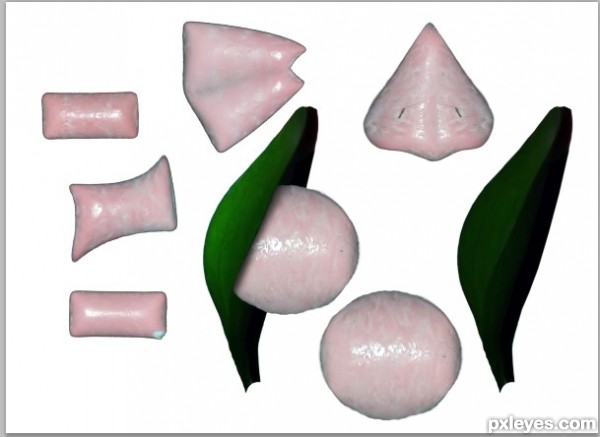 Creation of Gum Gum Girls: Step 1