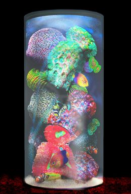 Black Light Aquarium Poster