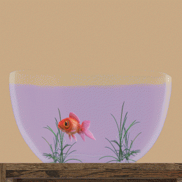 swimlittlefish