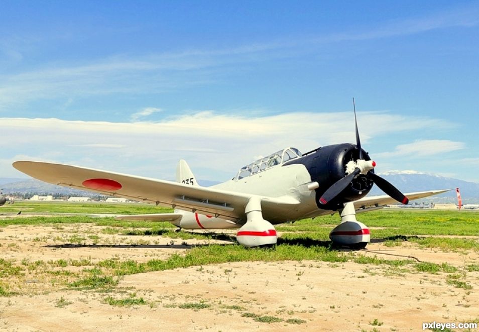 Vintage Warbird 