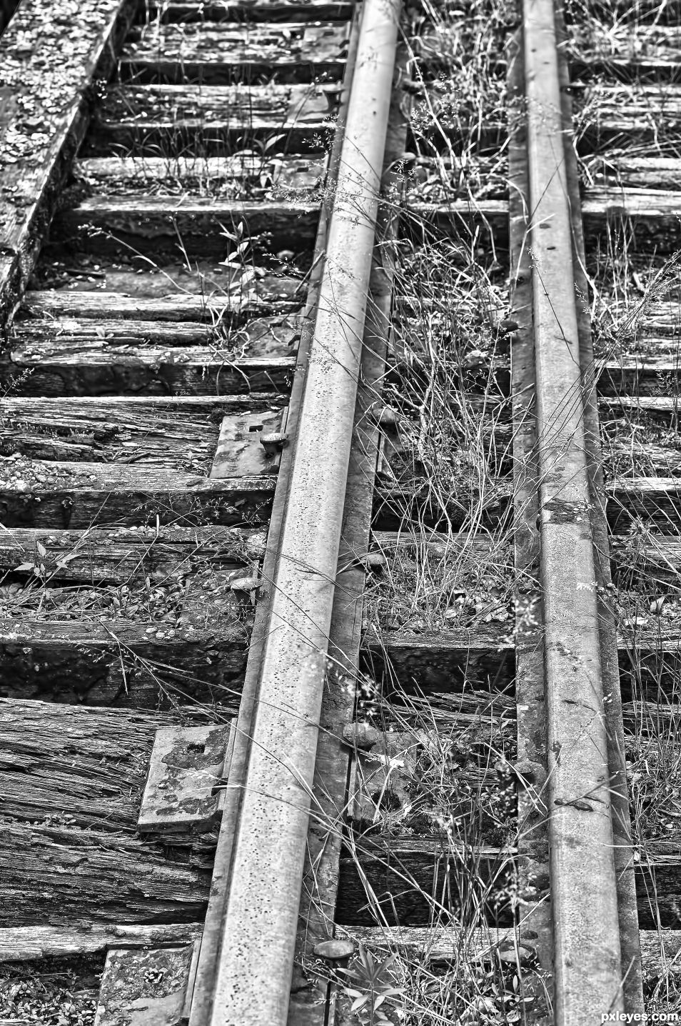 Old Tracks