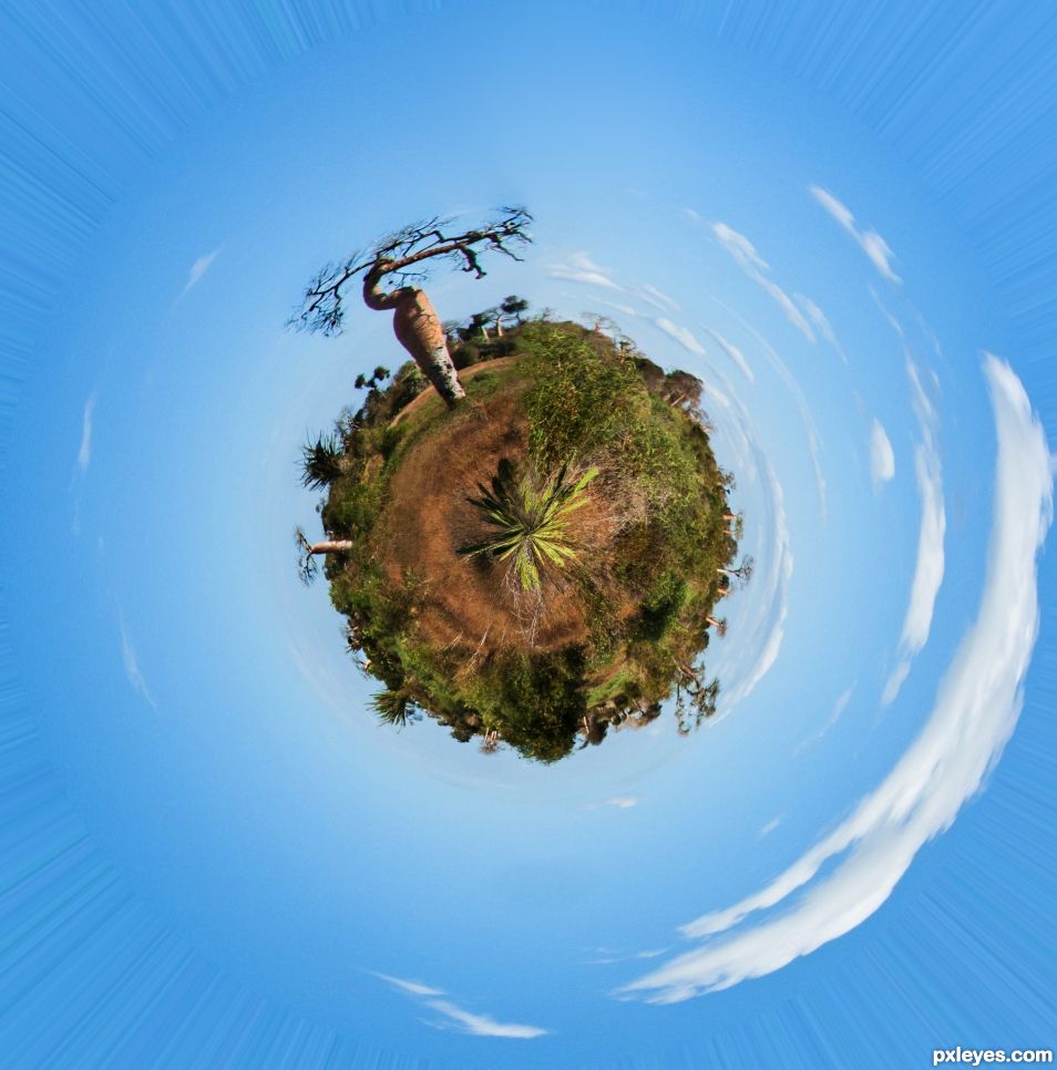 Baobabs planet