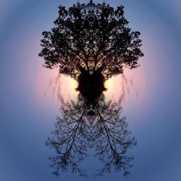 Backlightplanetoid