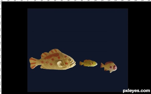 Creation of Fish: Step 1