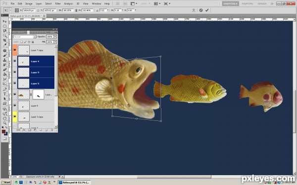 Creation of Fish: Step 2