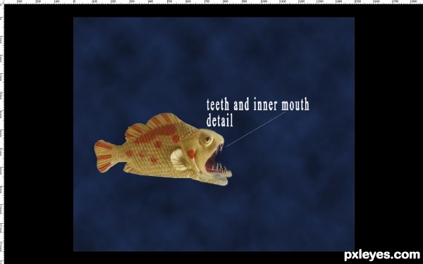 Creation of Fish: Step 3