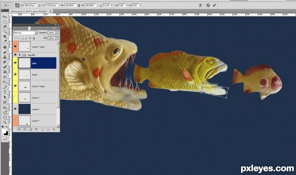 Creation of Fish: Step 4