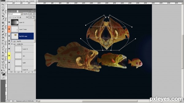 Creation of Fish: Step 5