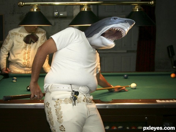 Careful of the Pool Shark!