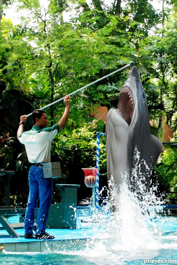 Creation of shark jumping: Final Result