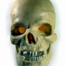 plastic skull photoshop contest
