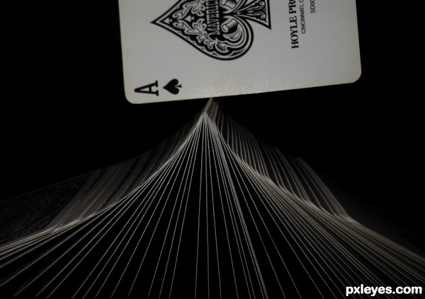 Card shark