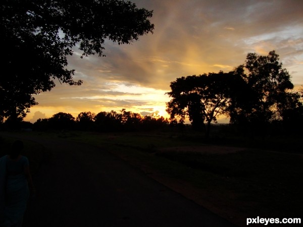 A Walk In The Golden Evening