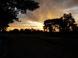 A Walk In The Golden Evening