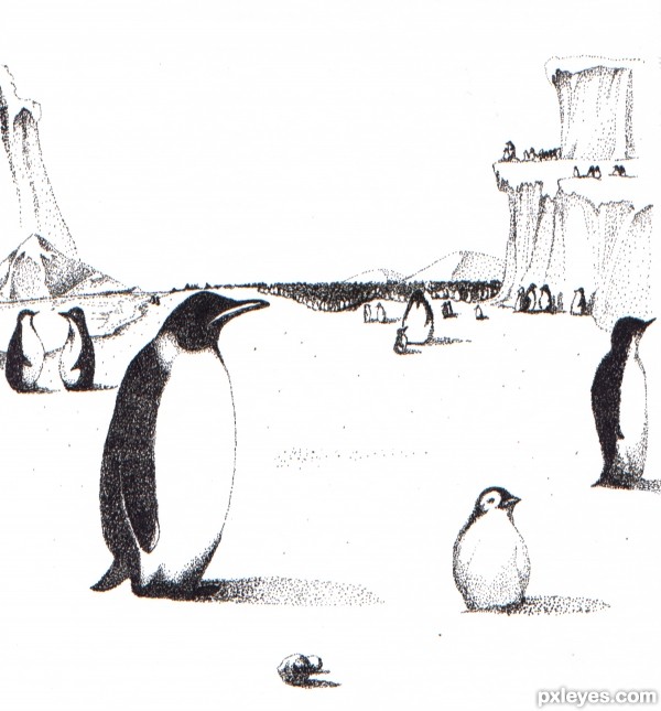 Creation of Penguins: Final Result