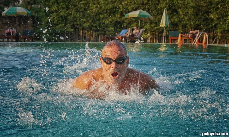 A Dolphin in the Pool