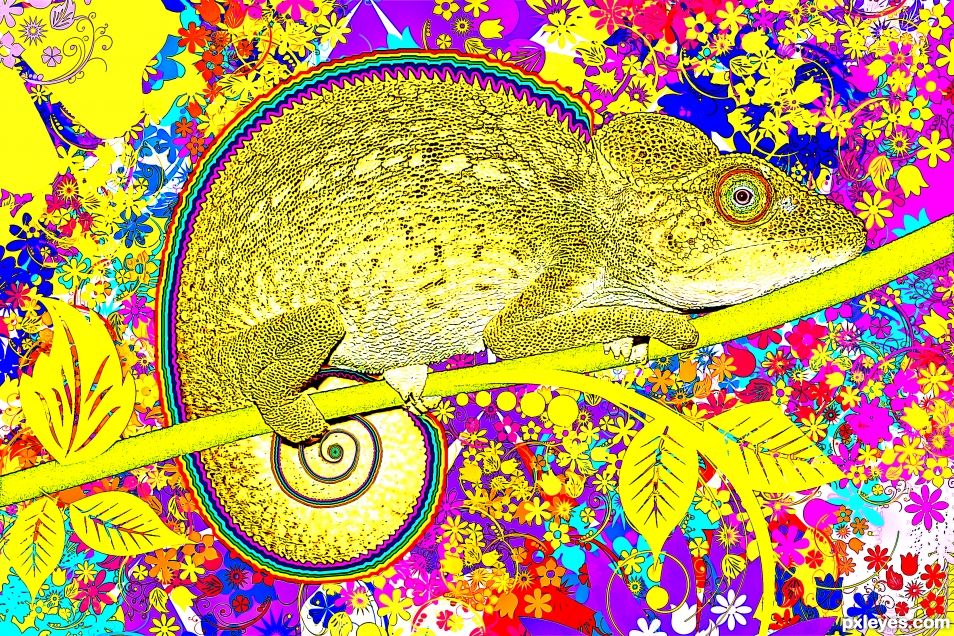 Yellow chameleon