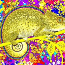 Yellowchameleon